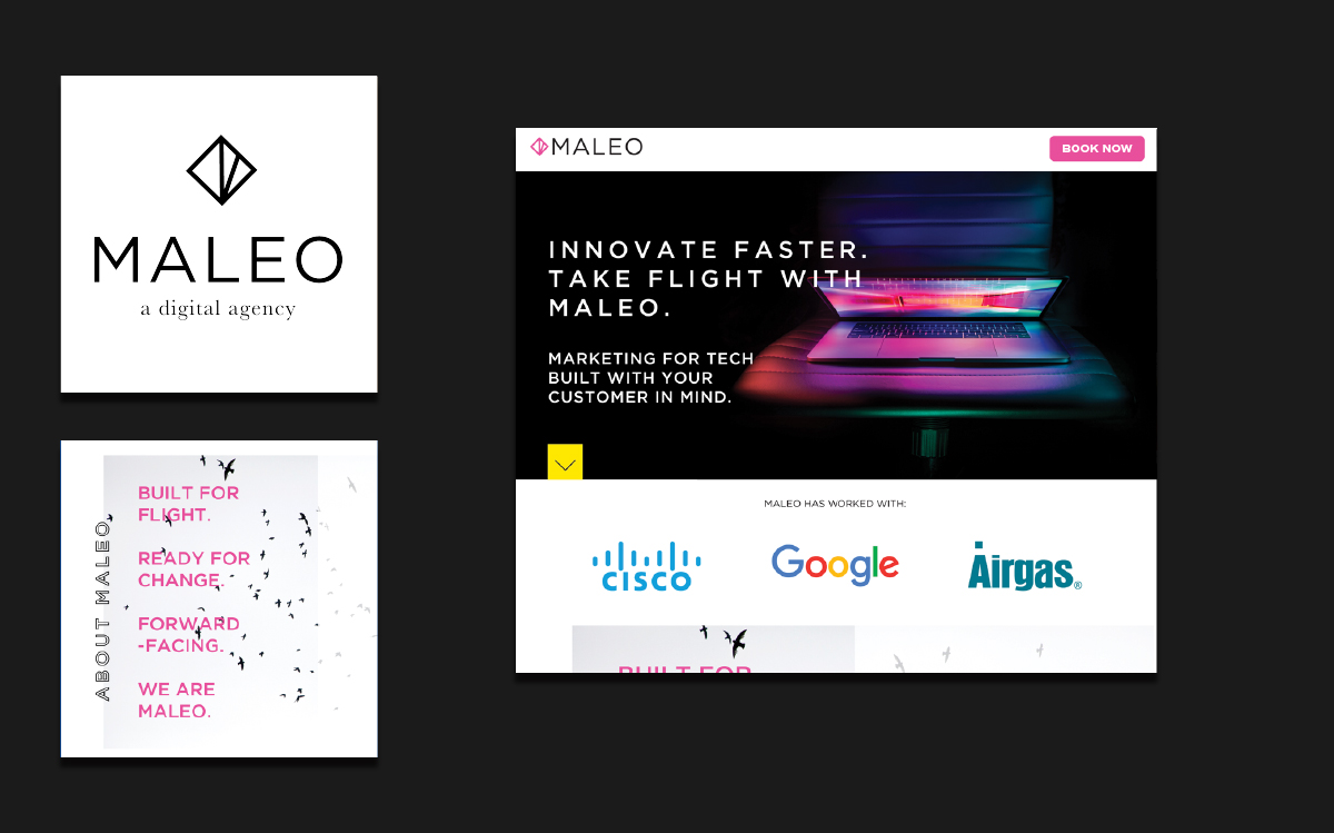 Maleo Studio Brand Design