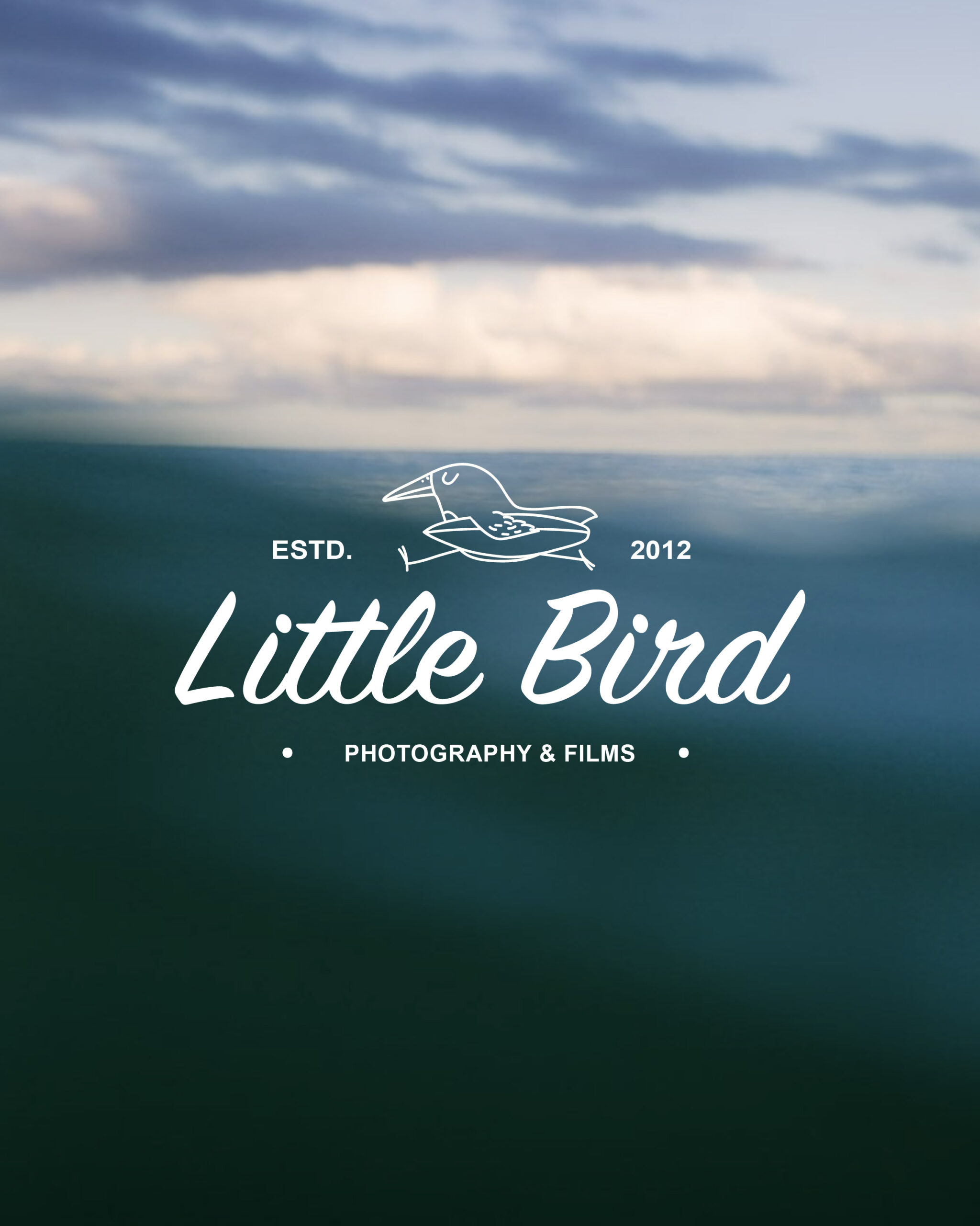 Little Bird Photography and Films